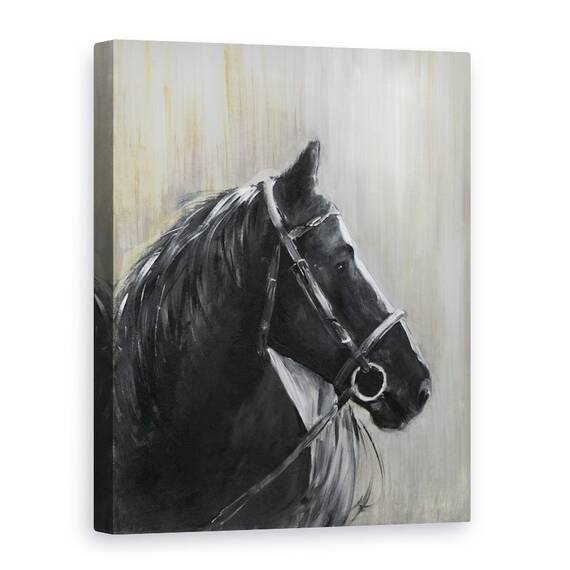 Tablou canvas - Animale, Cal, Negru, Pictura, Marime: 50 x 70 cm - - Roveli