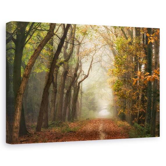Tablou Canvas - Peisaj, Natura, Padure, Toamna, Pictura, Marime: 60 x 90 cm - - Roveli