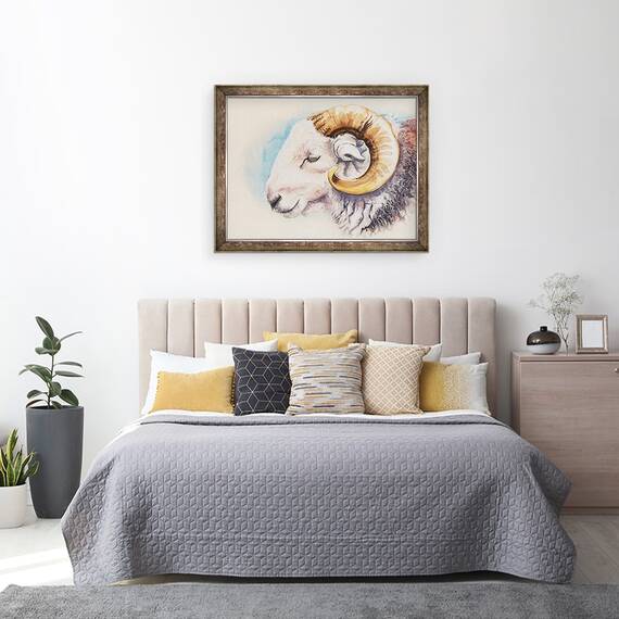 Tablou inramat - Alison Cooper - Un Herdwick Ram - 2- Roveli