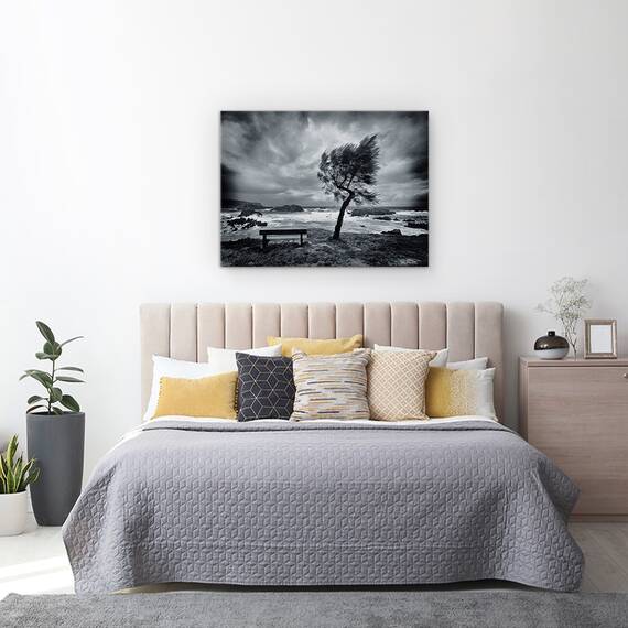 Tablou Canvas - Astazi Nimeni, Marime: 60 x 80 cm - 3- Roveli