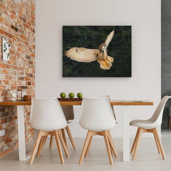 Tablou Canvas - Bufnita, Marime: 60 x 80 cm - 3- Roveli