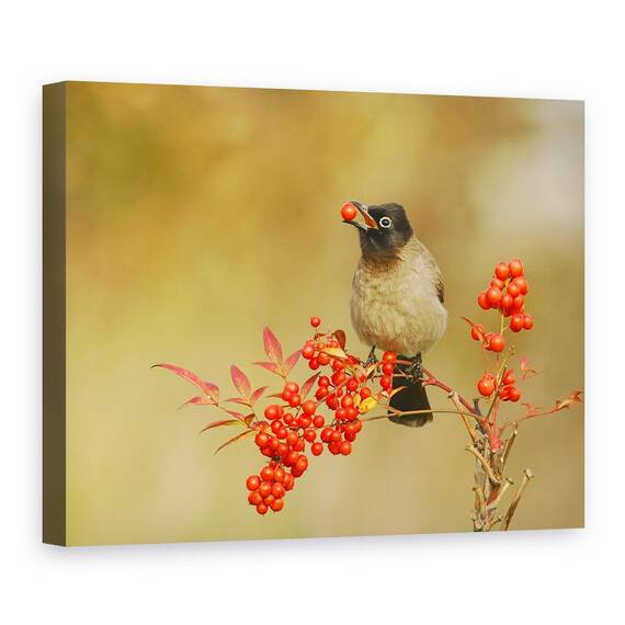 Tablou Canvas - Bulbul Cu Nandina, Marime: 60 x 80 cm - - Roveli