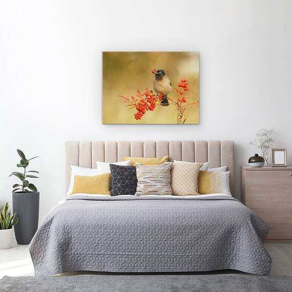 Tablou Canvas - Bulbul Cu Nandina, Marime: 60 x 80 cm - 3- Roveli