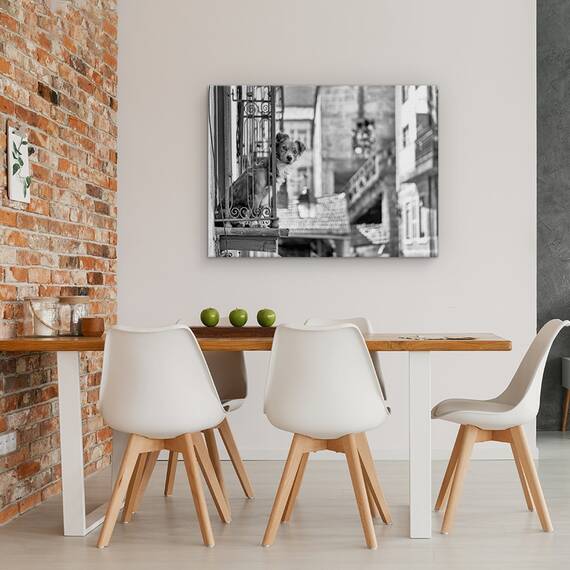 Tablou Canvas - Caine, Marime: 60 x 80 cm - 4- Roveli