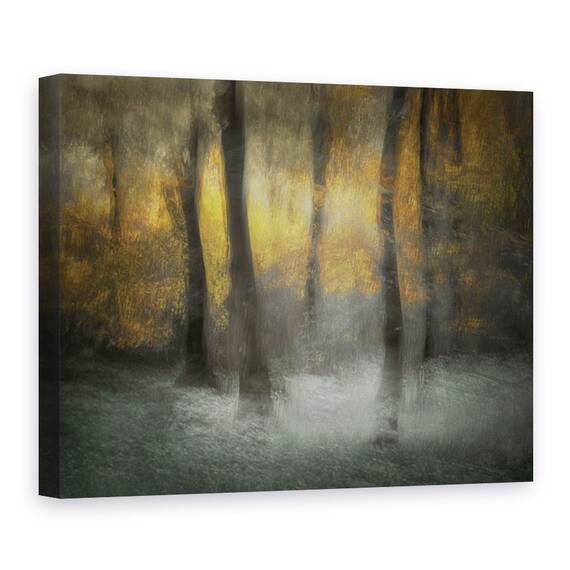 Tablou Canvas - Copaci Dansand, Marime: 60 x 80 cm - - Roveli