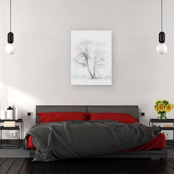 Tablou Canvas - Dimineata Devreme, Marime: 60 x 80 cm - 3- Roveli
