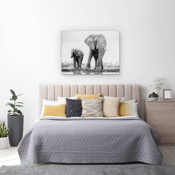 Tablou Canvas - Duo, Marime: 60 x 80 cm - 3- Roveli