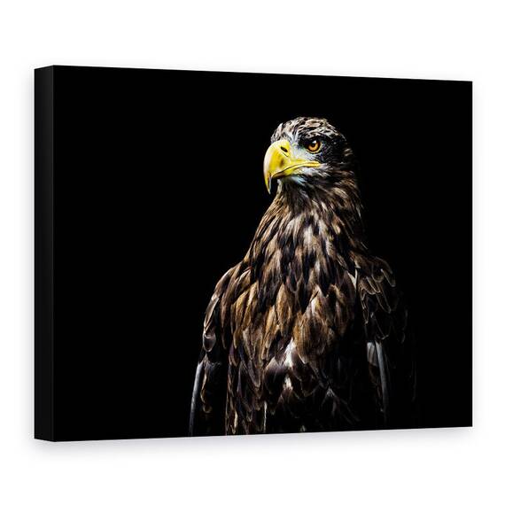 Tablou Canvas - Ego, Marime: 60 x 80 cm - - Roveli