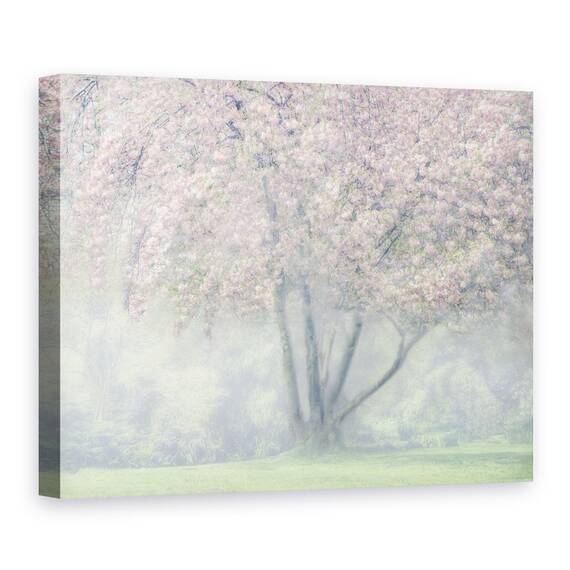 Tablou Canvas - Floare De Cires In Ceata, Marime: 60 x 80 cm - - Roveli