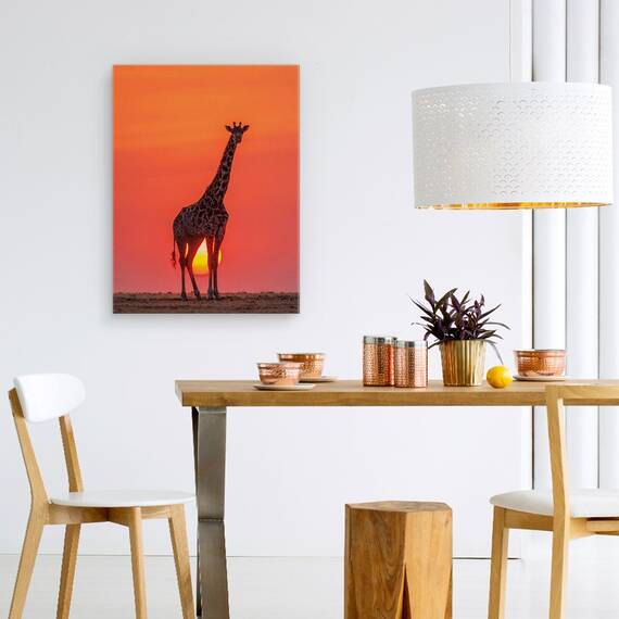 Tablou Canvas - Girafa In Apus De Soare, Marime: 60 x 80 cm - 4- Roveli
