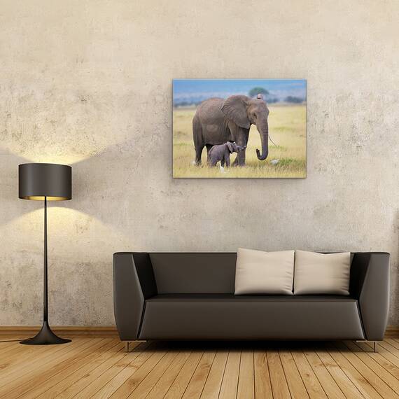 Tablou Canvas - Invatare, Marime: 60 x 80 cm - 2- Roveli