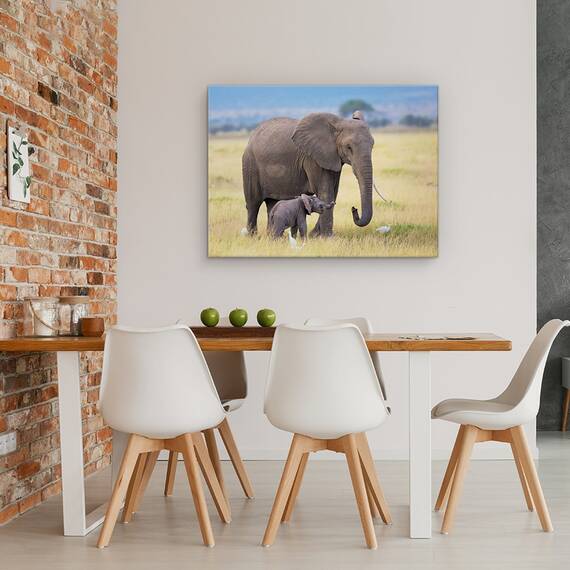 Tablou Canvas - Invatare, Marime: 60 x 80 cm - 4- Roveli