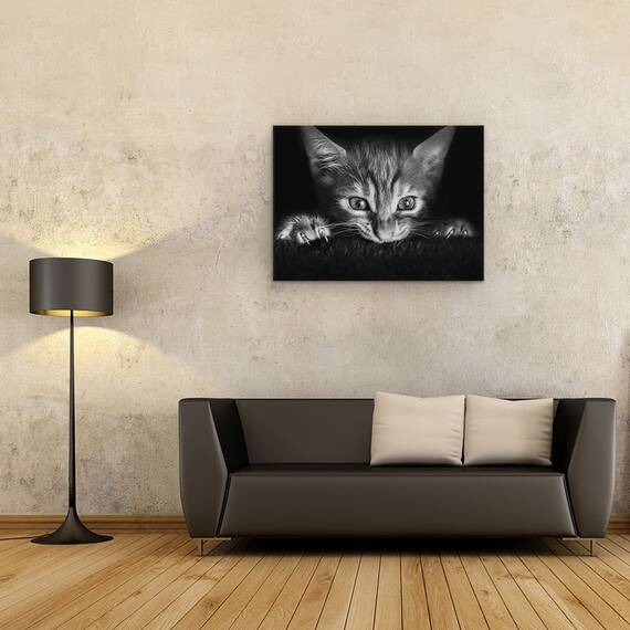 Tablou Canvas - La Film, Marime: 60 x 80 cm - 2- Roveli