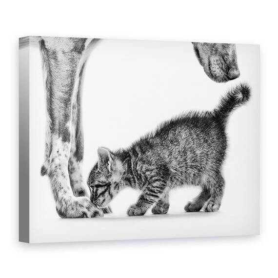 Tablou Canvas - Miroase-Ma, Marime: 60 x 80 cm - - Roveli