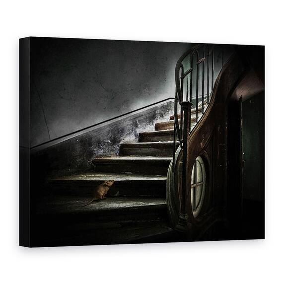 Tablou Canvas - Noul Proprietar, Marime: 60 x 80 cm - - Roveli