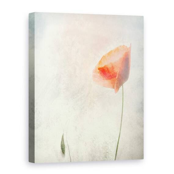 Tablou Canvas - Nu Ar Trebui Sa Dormim, Marime: 60 x 80 cm - - Roveli