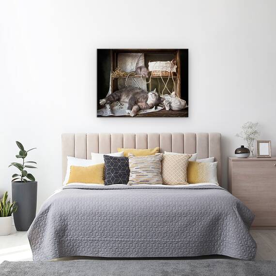 Tablou Canvas - Nu Trezi O Pisica Adormita, Marime: 60 x 80 cm - 3- Roveli