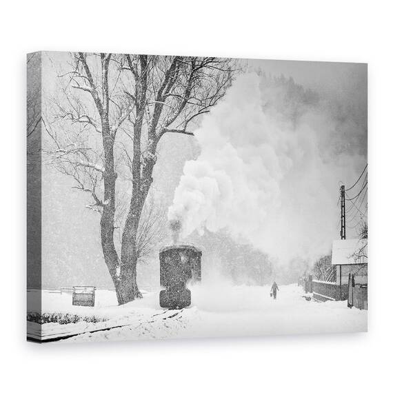 Tablou Canvas - O Poveste De Iarna, Marime: 60 x 80 cm - - Roveli