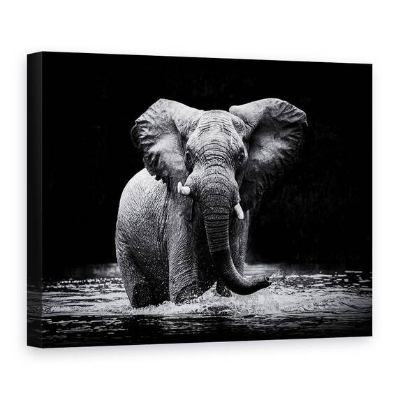 Tablou Canvas - Putere, Marime: 60 x 80 cm - - Roveli