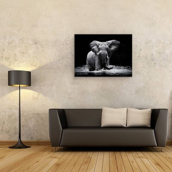 Tablou Canvas - Putere, Marime: 60 x 80 cm - 2- Roveli