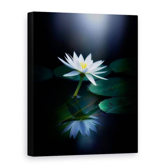 Tablou Canvas - Reflectie, Marime: 60 x 80 cm - - Roveli