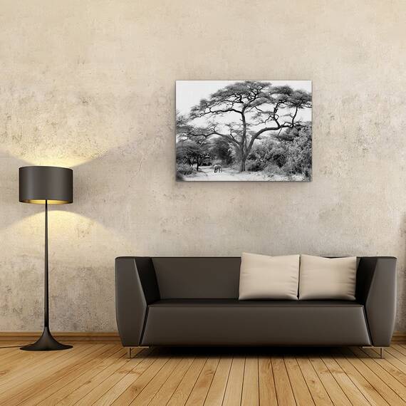 Tablou Canvas - Sub Salcam, Marime: 60 x 80 cm - 2- Roveli