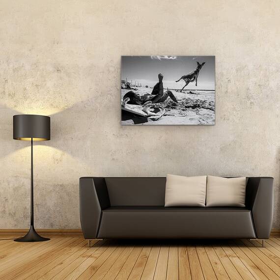 Tablou Canvas - Super Caine, Marime: 60 x 80 cm - 2- Roveli
