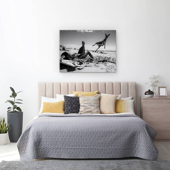 Tablou Canvas - Super Caine, Marime: 60 x 80 cm - 3- Roveli
