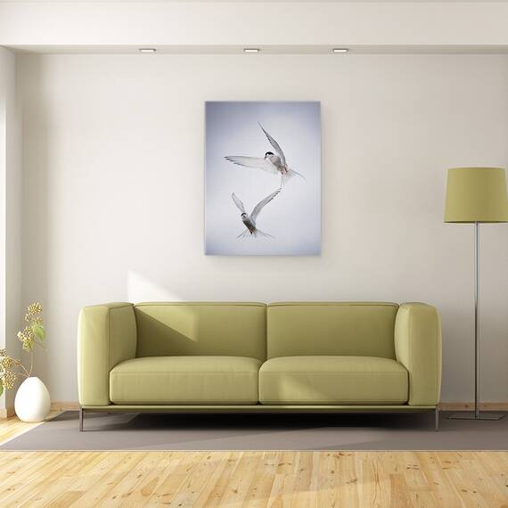 Tablou Canvas - Tango Arctic, Marime: 60 x 80 cm - 2- Roveli