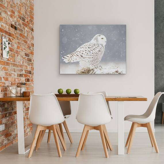 Tablou Canvas - Un Portret De Bufnita De Zapada, Marime: 60 x 80 cm - 4- Roveli