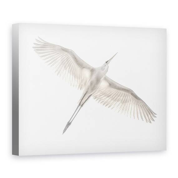 Tablou Canvas - Zbor, Marime: 60 x 80 cm - - Roveli