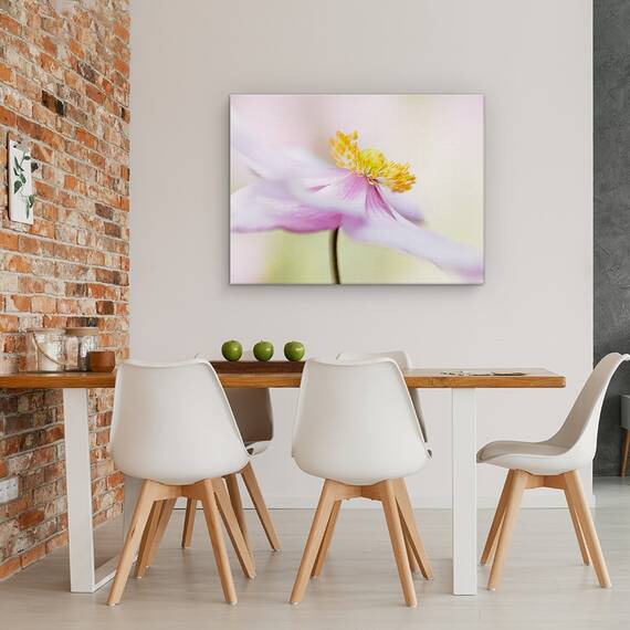 Tablou Canvas - Anemona Japoneza, Marime: 60 x 80 cm - 4- Roveli