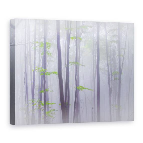 Tablou Canvas - Cetos, Marime: 60 x 80 cm - - Roveli