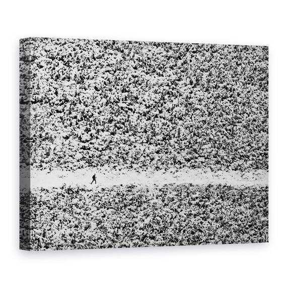 Tablou Canvas - Confuzie, Marime: 60 x 80 cm - - Roveli