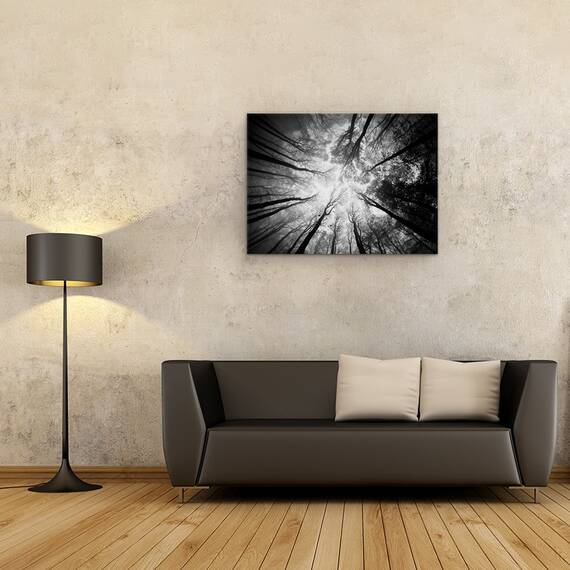 Tablou Canvas - Copaci, Marime: 60 x 80 cm - 2- Roveli