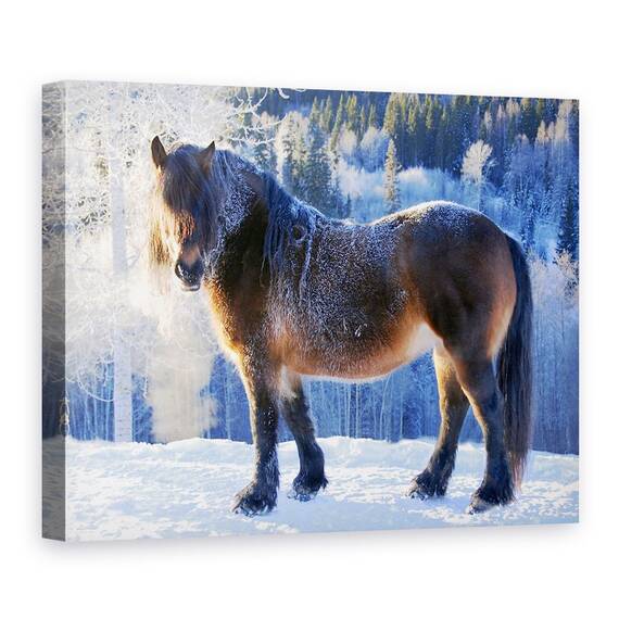 Tablou Canvas - Crin Din Vale, Marime: 60 x 80 cm - - Roveli