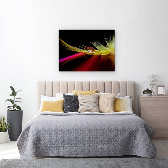 Tablou Canvas - Culori In Picatura, Marime: 60 x 80 cm - 3- Roveli