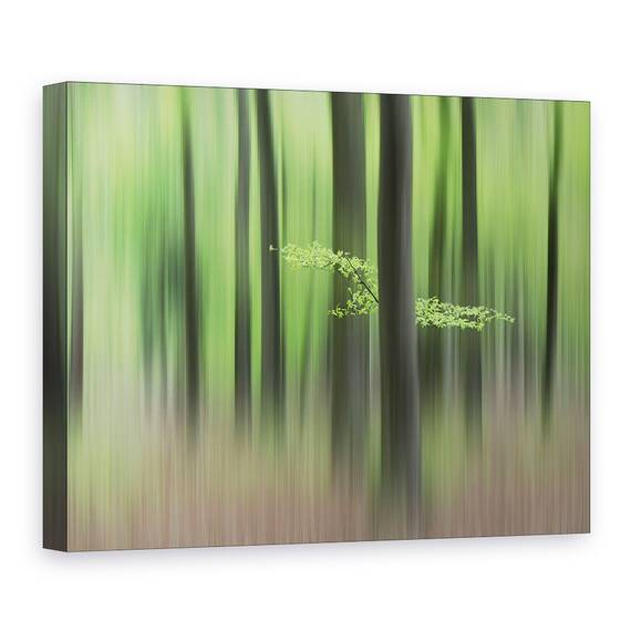 Tablou Canvas - Dimineata De Primavara, Marime: 60 x 80 cm - - Roveli