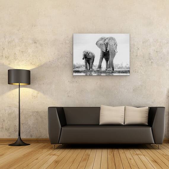 Tablou Canvas - Duo, Marime: 50 x 70 cm - 2- Roveli