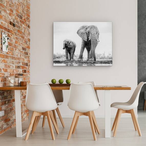 Tablou Canvas - Duo, Marime: 50 x 70 cm - 4- Roveli