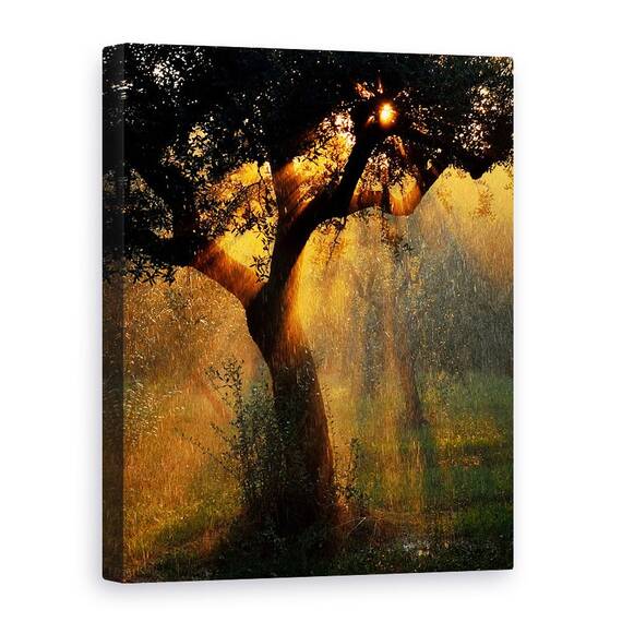 Tablou Canvas - Dus Usor, Marime: 60 x 80 cm - - Roveli