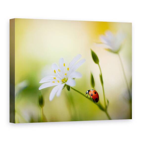 Tablou Canvas - Frumuseti De Vara, Marime: 60 x 80 cm - - Roveli