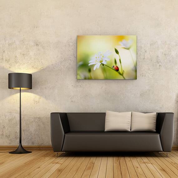 Tablou Canvas - Frumuseti De Vara, Marime: 60 x 80 cm - 2- Roveli