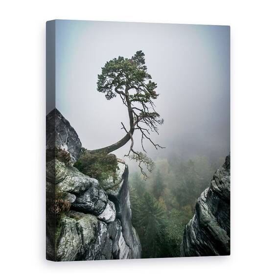 Tablou Canvas - In Ciuda Greutatilor, Marime: 60 x 80 cm - - Roveli