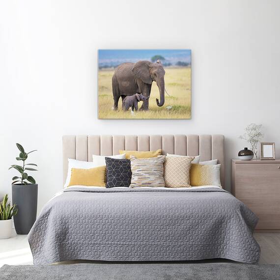 Tablou Canvas - Invatare, Marime: 50 x 70 cm - 3- Roveli