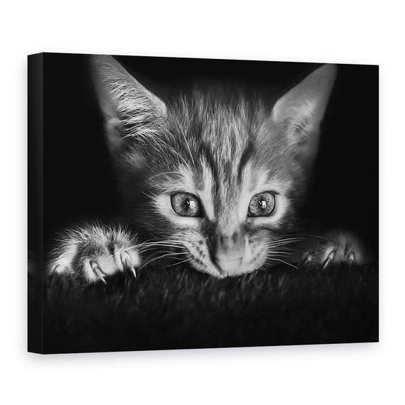 Tablou Canvas - La Film, Marime: 50 x 70 cm - - Roveli