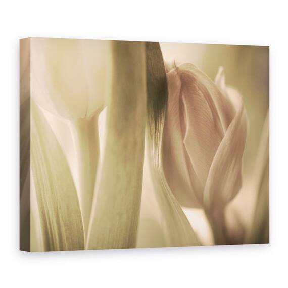 Tablou Canvas - Lalele, Marime: 60 x 80 cm - - Roveli