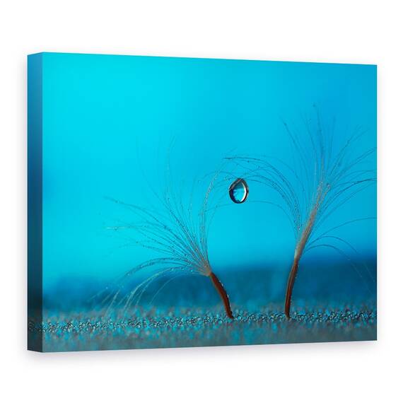 Tablou Canvas - Pastreaza Echilibrul, Marime: 60 x 80 cm - - Roveli