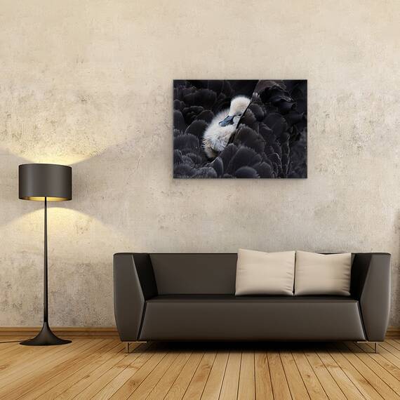 Tablou Canvas - Pickaback, Marime: 60 x 80 cm - 2- Roveli