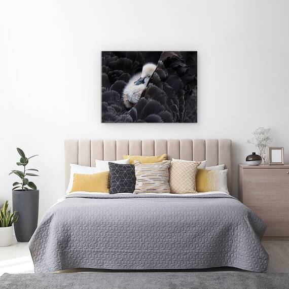 Tablou Canvas - Pickaback, Marime: 60 x 80 cm - 3- Roveli